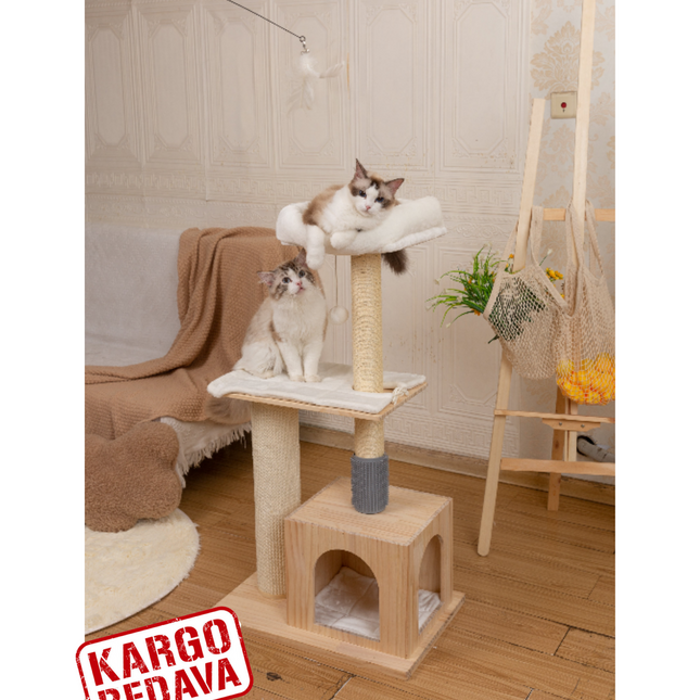 Mona Kedi Tırmalama Alanı