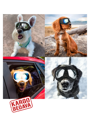 köpek güneş gözlüğü UV koruma