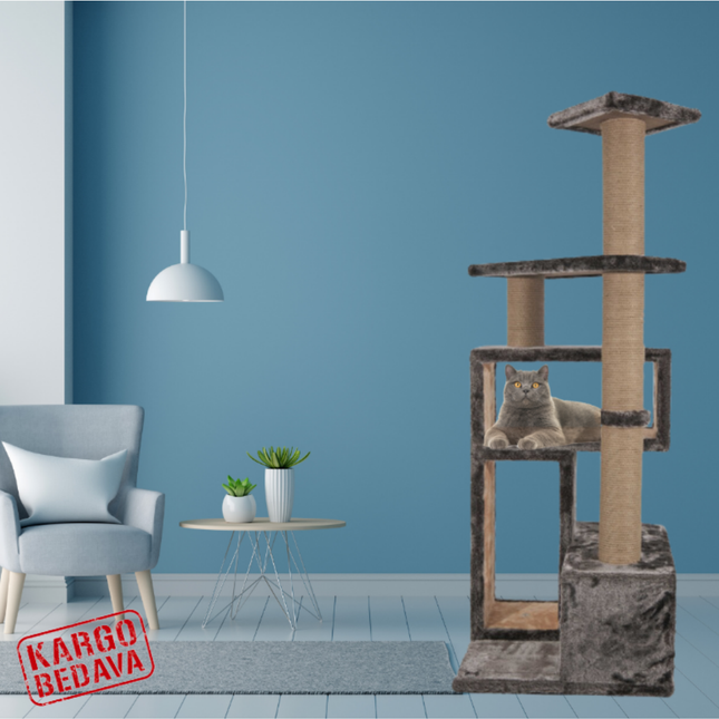 Kedi ve Köpek Oyun Alanı Atina