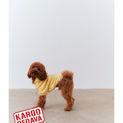 Köpek Hoodie - Sarı