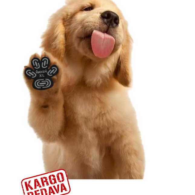 Kış kar yürüyüş patikleri veya pençe koruyucu yamalar