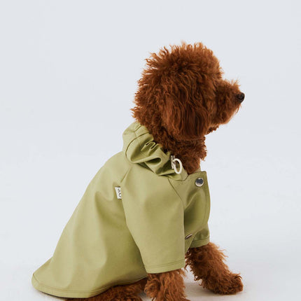 Köpek Yağmurluk - Fıstık Yeşili