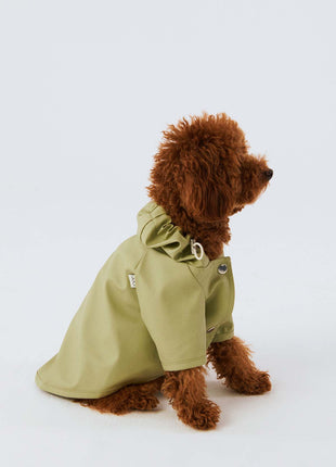 Köpek Yağmurluk - Fıstık Yeşili