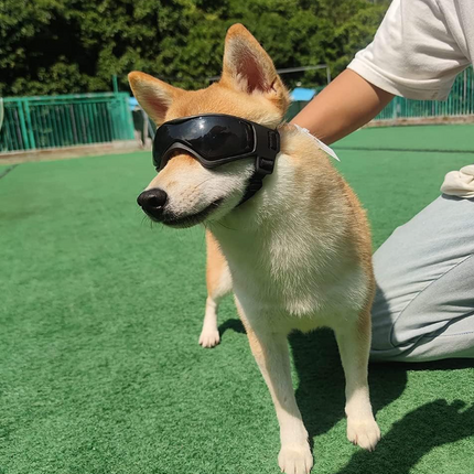 Kolay Giyilebilir Köpek Güneş Gözlükleri